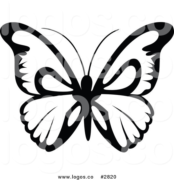 600x620 Royalty Free Stock Logo Designs Of Black And White Butterflies