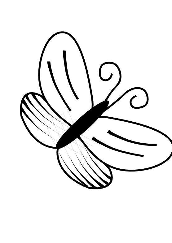 555x785 Best Butterfly Clipart Black And White