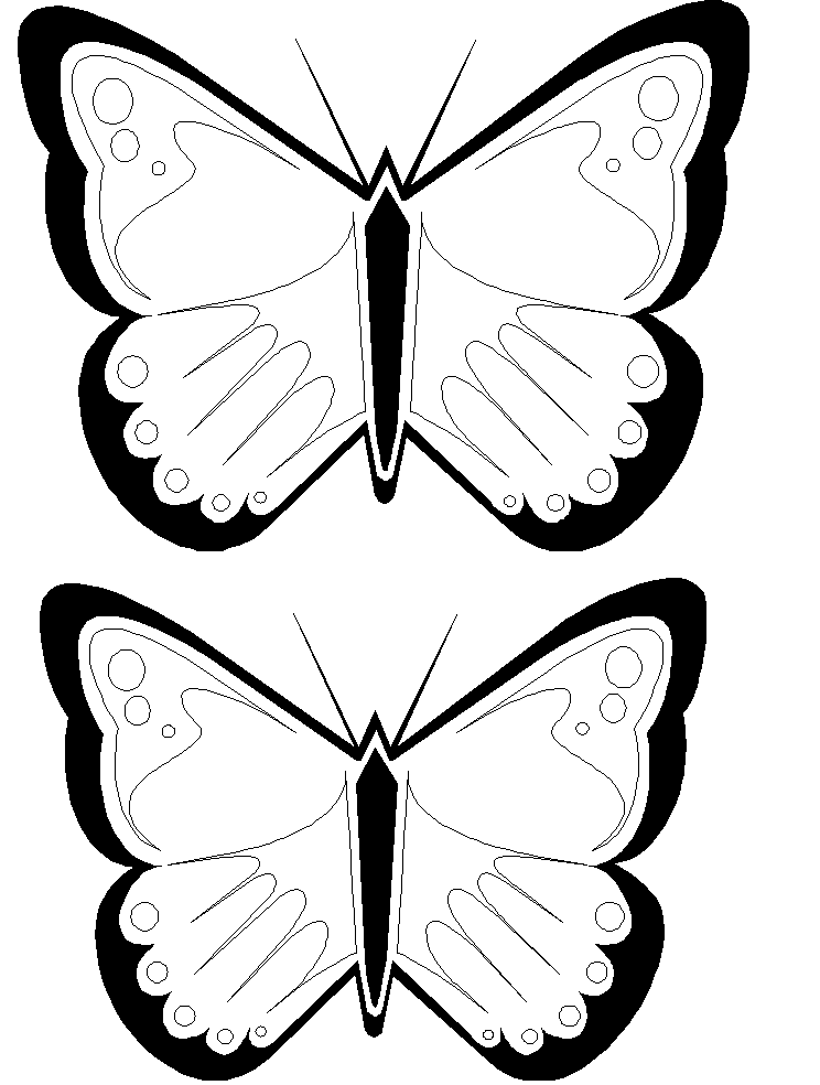 744x984 Papillon Butterfly Clipart, Explore Pictures