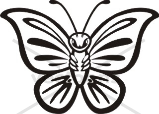 320x230 Black And White Butterfly Clipart