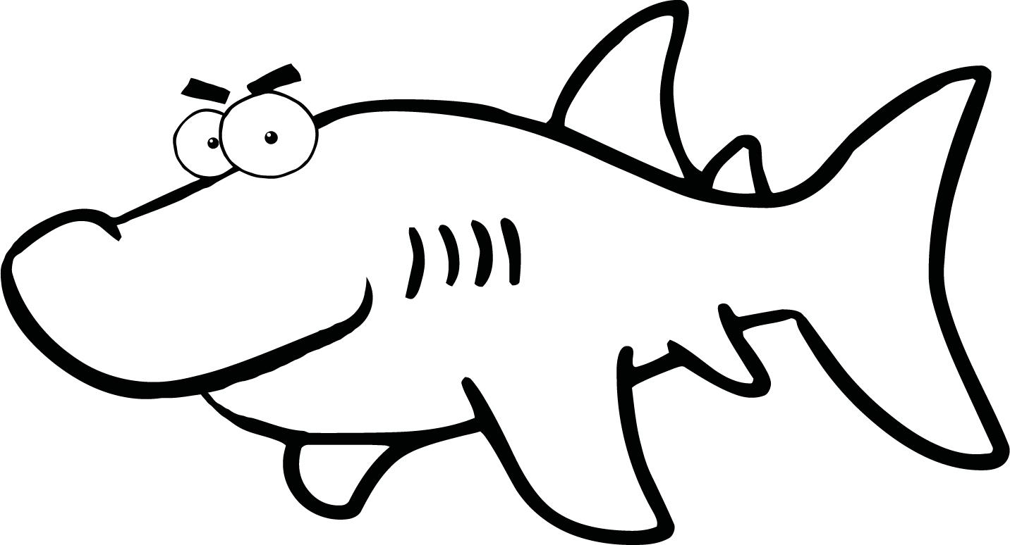 1432x774 Pictures Of A Black And White Shark For Kids
