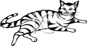 300x160 Black And White Cartoon Of A Stripped Cat Lying Down