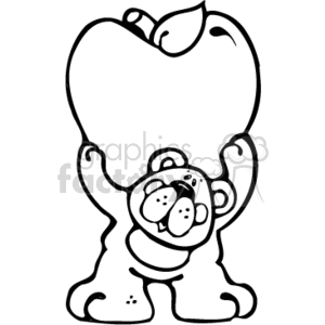 300x300 Royalty Free Black And White Cartoon Bear Holding A Huge Apple