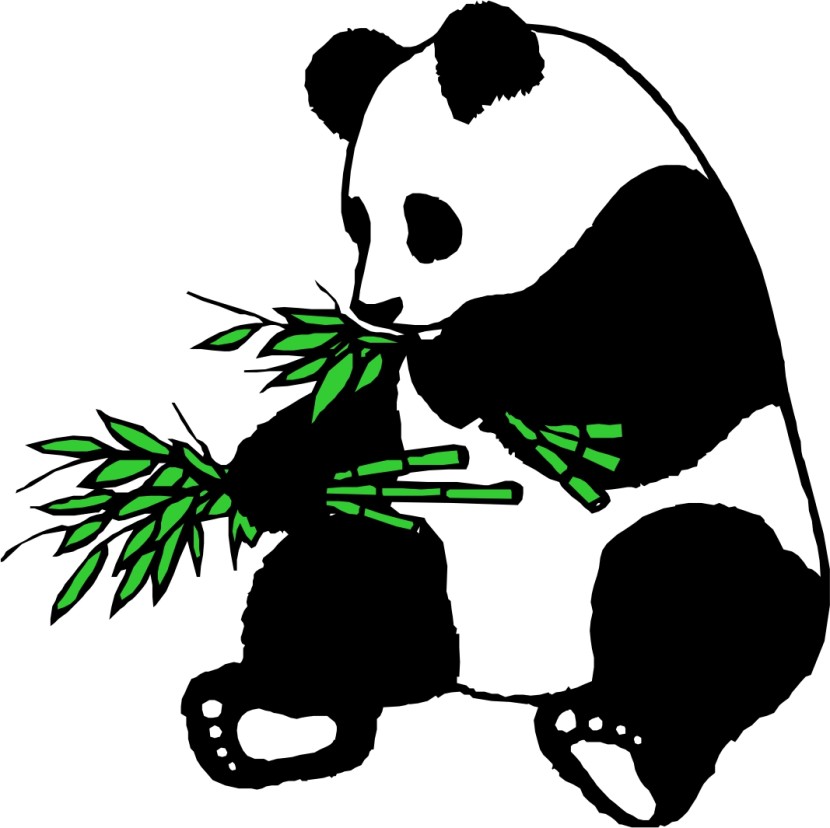 830x828 Free Clipart Panda Bear