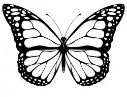 250x190 Black Amp White Clipart Butterfly