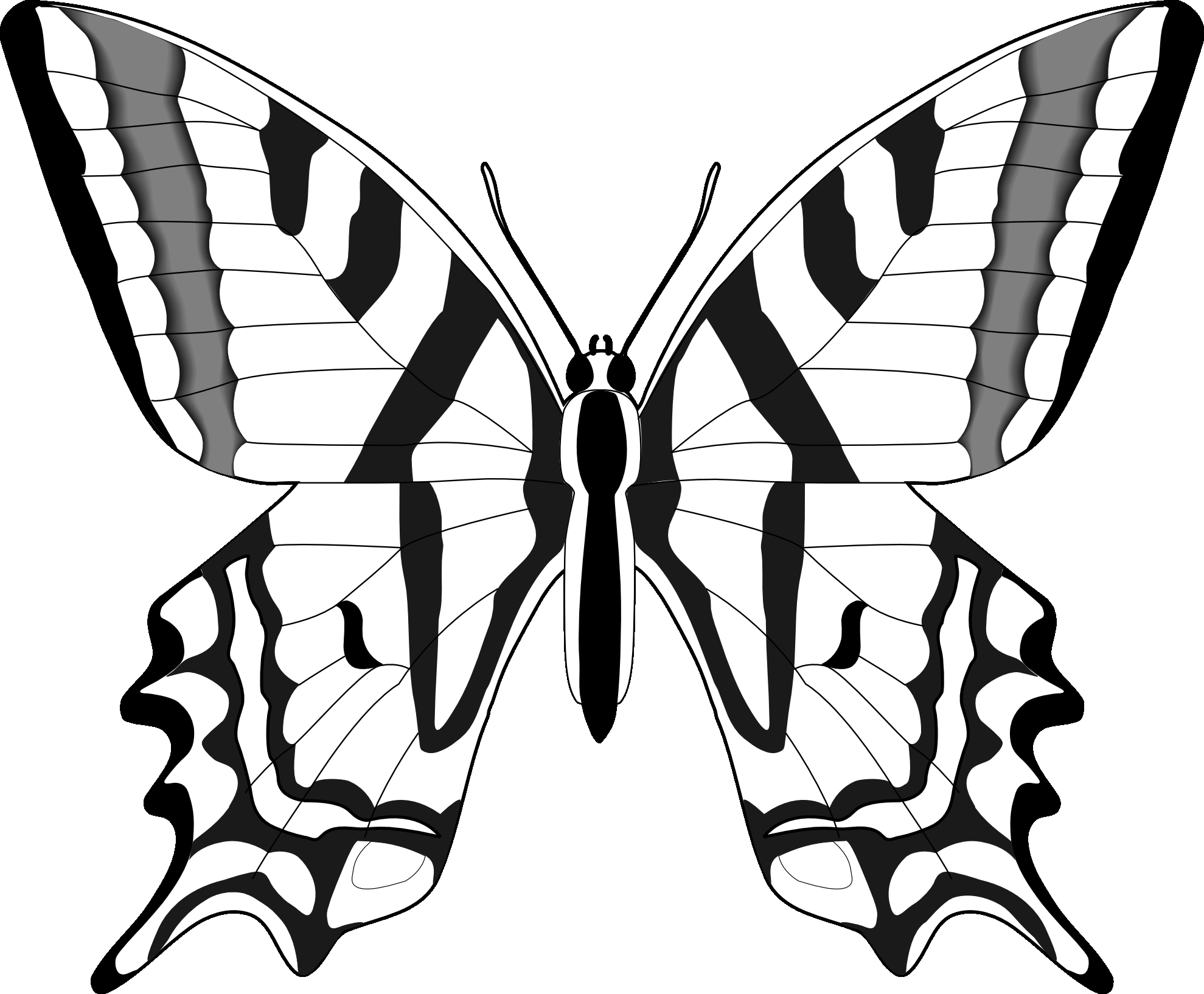 1979x1634 15 Black White Butterfly Pictures Collections Black