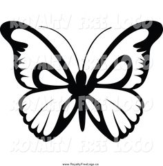236x240 Best Photos Of Butterfly Outline Clip Art