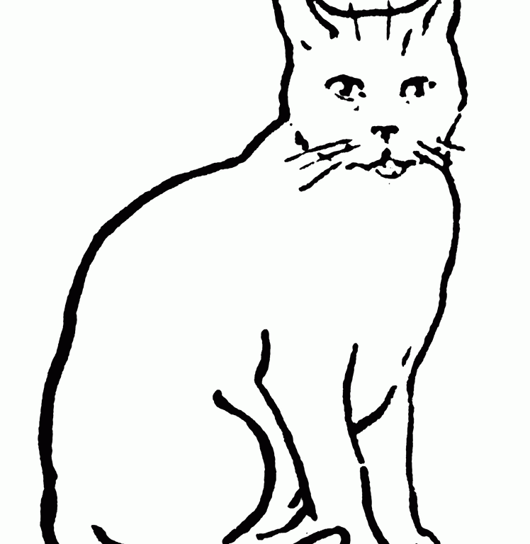 748x768 Cat Clip Art Inderecami Drawing