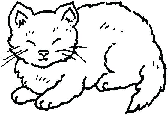 560x384 Cat Clipart Cat Coloring Pages Here Is A Small Collection Of Cute