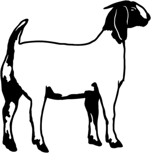 295x300 Boer Goat Clip Art Do Not Have To Own Goats Or Have Any Previous