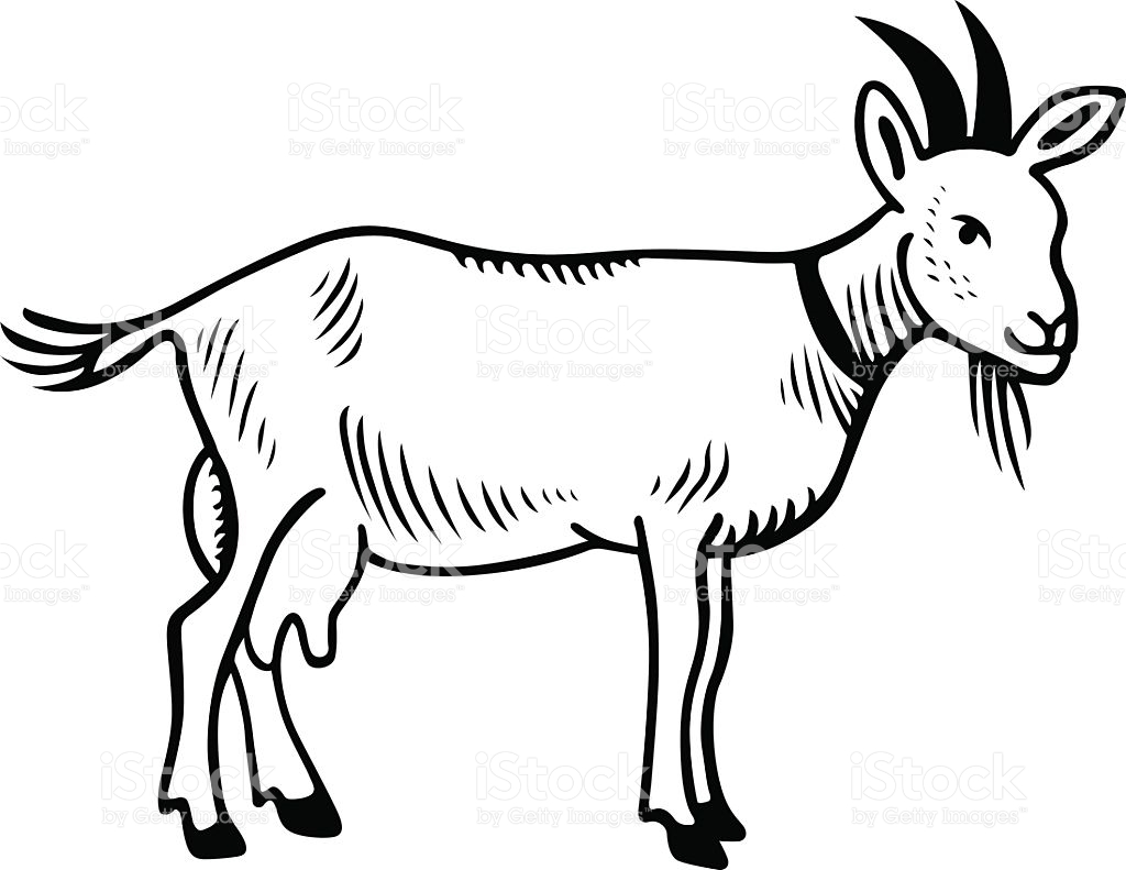 1024x791 Goat Clipart Body