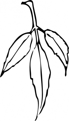 241x425 Leaf Black And White Leaf Black And White Leaf Clip Art