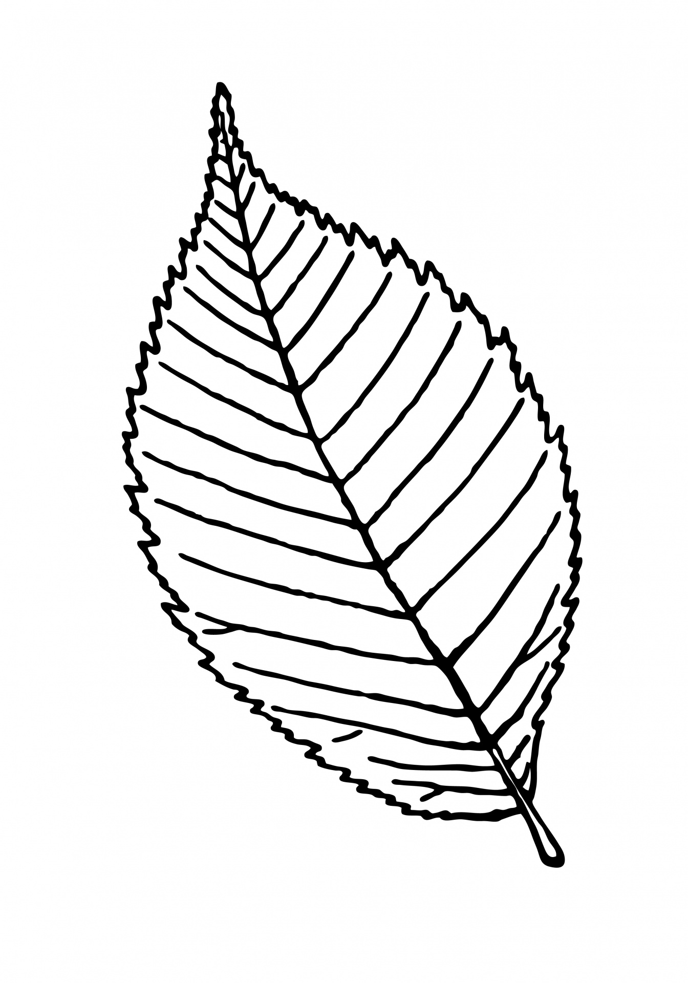 1344x1920 Leaf Outline Clipart Illustration Free