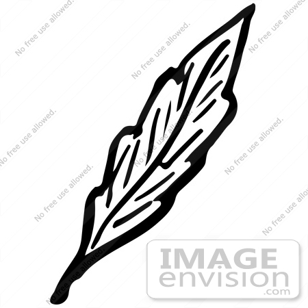450x450 Clipart Of A Leaf In Black And White