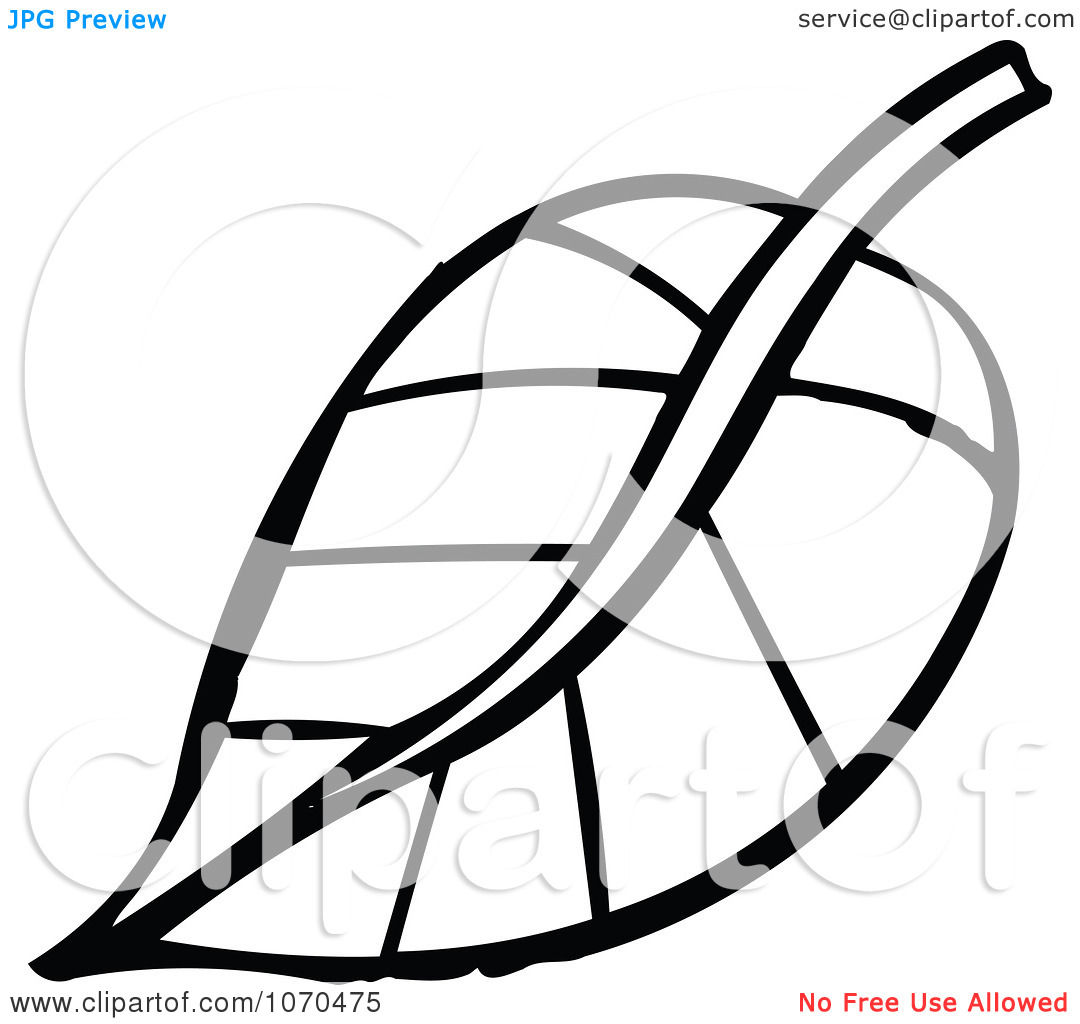 1080x1024 Leaf Black And White Fall Clipart