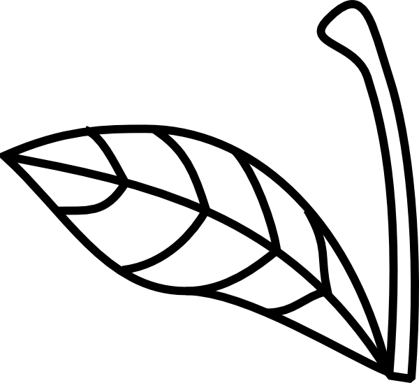 600x548 Apple Stem Leaf Clip Art