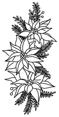 236x466 Poinsettia Clipart Black And White
