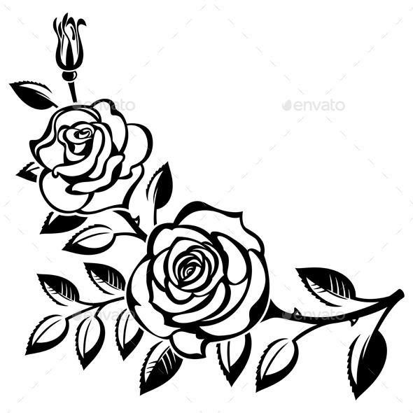590x590 Black And White Rose Bud Clip Art