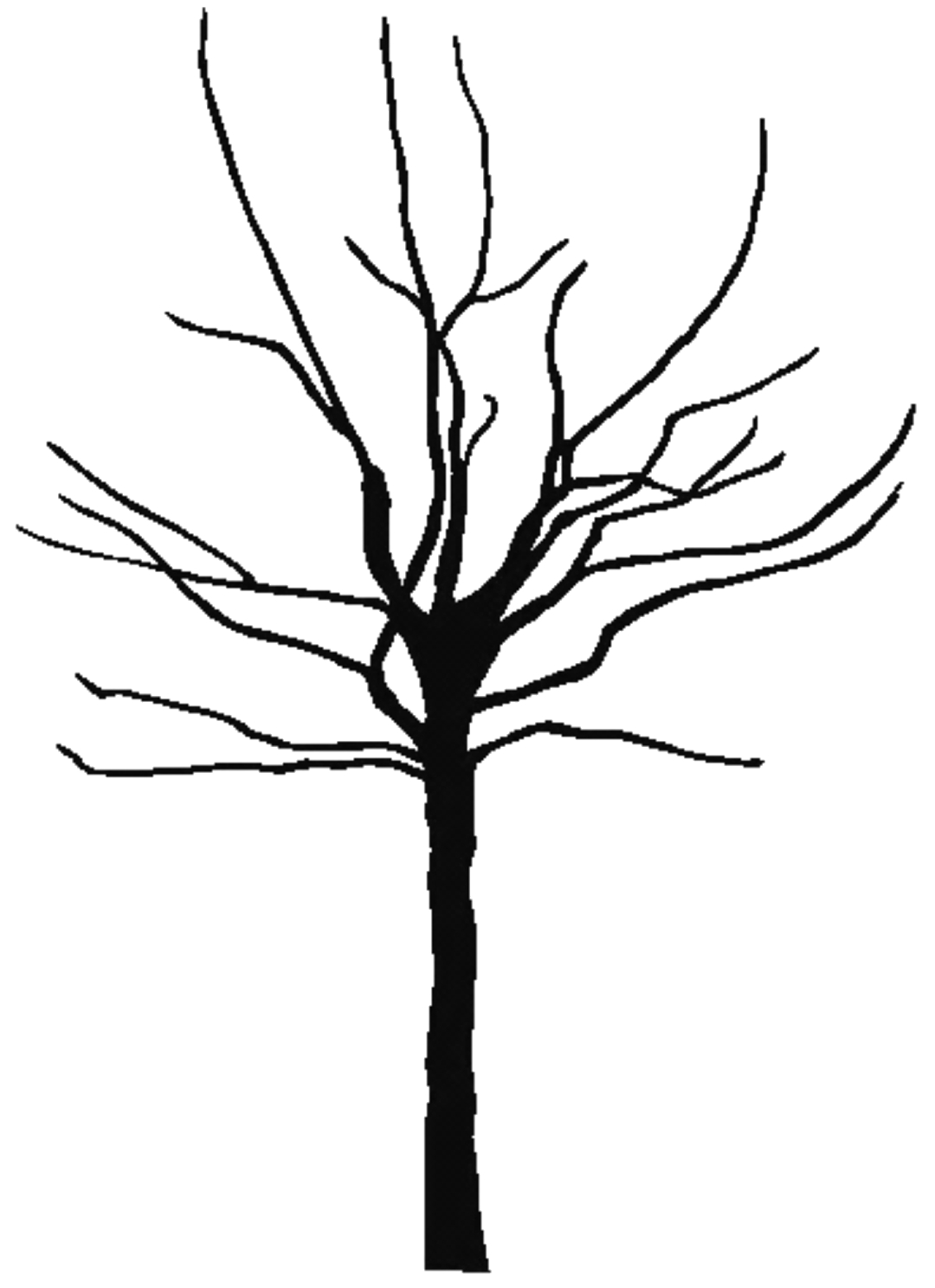 Black And White Clipart Tree