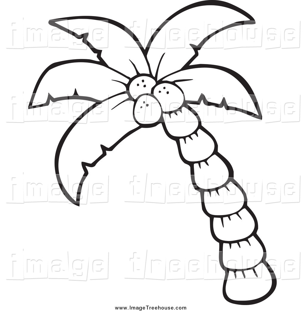 1024x1044 Black Clipart Coconut Tree