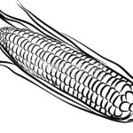 150x150 Corn Clipart Black And White Corn Cob Clip Art Black And White