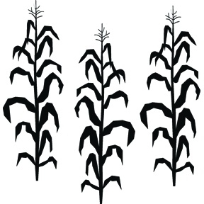 288x288 Corn Stalk Clipart Black And White Letters Example