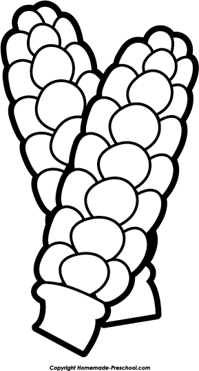 289x538 Corn Clipart The Cobb