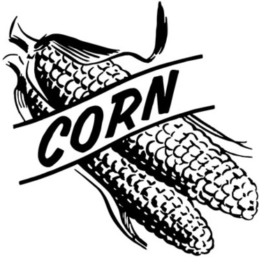 371x368 Corn Clipart Vector