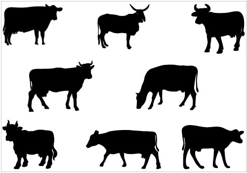 500x350 Cow Silhouette Clip Art