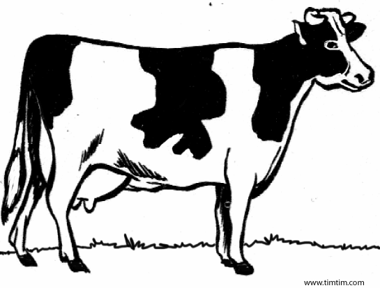 Black And White Cow Clipart | Free download on ClipArtMag