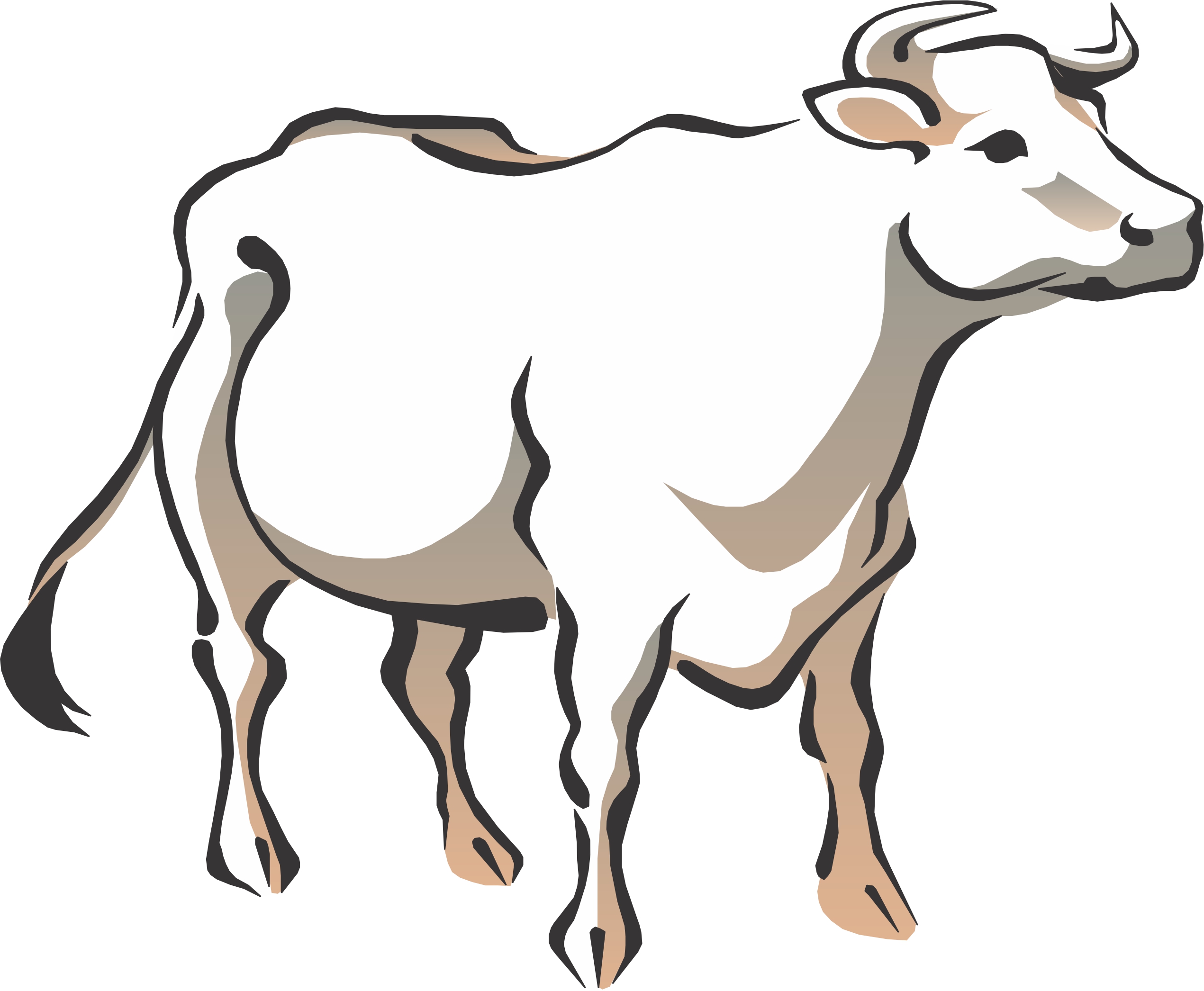 2541x2092 White Cow Clipart