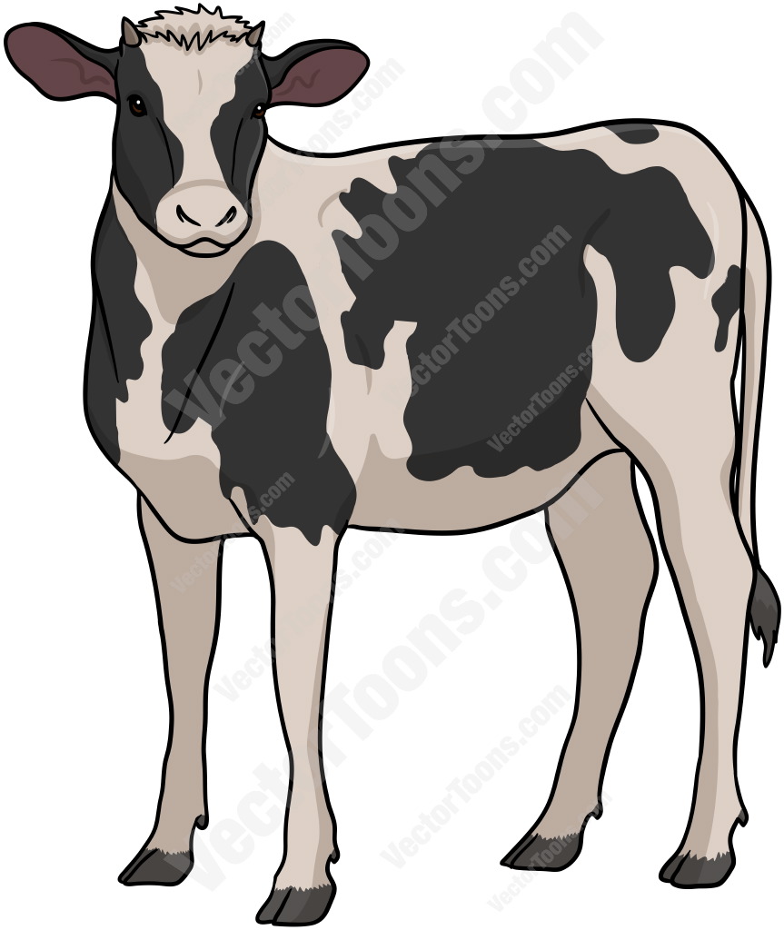 863x1024 Black And White Cow Looking Straight Ahead Cartoon Clipart
