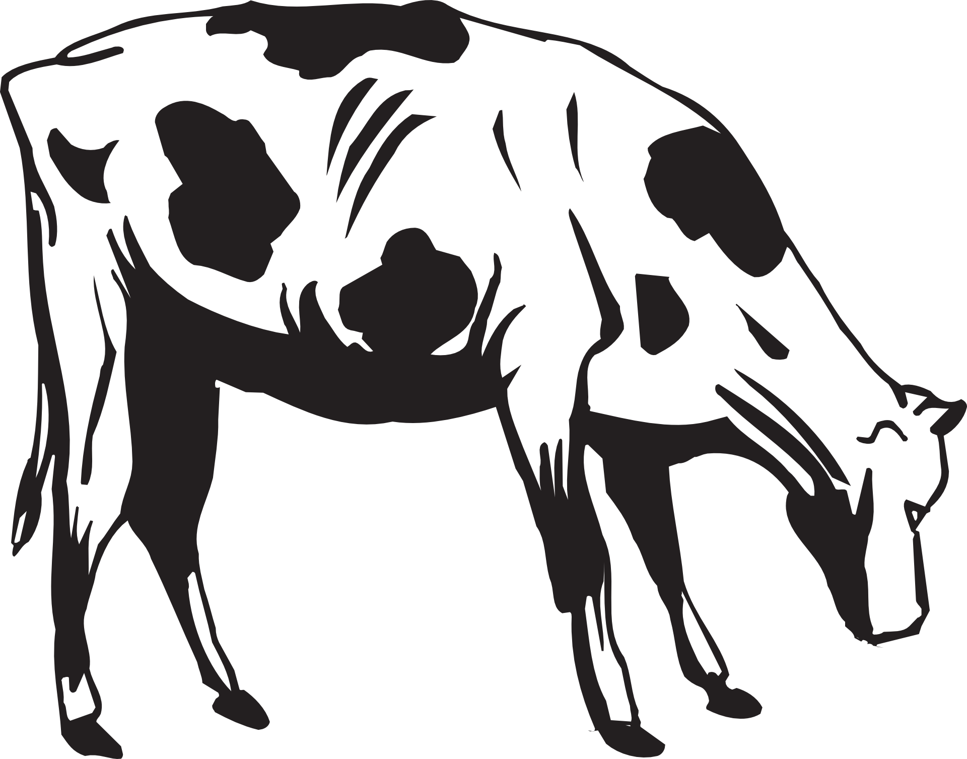 1920x1507 Black And White Drawing Of A Cow Eating Grass Free Image