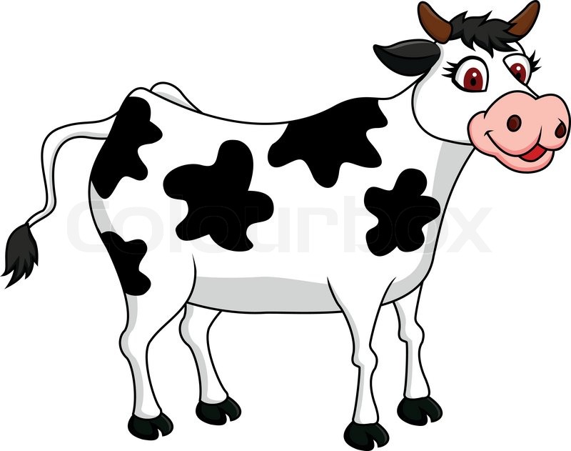 800x631 Cartoon White Cow Runs Vector Illustration Isolated On White