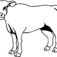 200x200 Cow Black And White Clipart