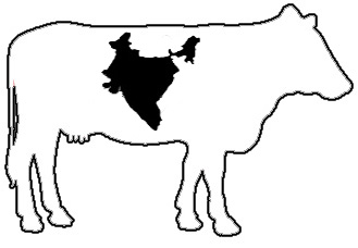 329x228 Cow Outline