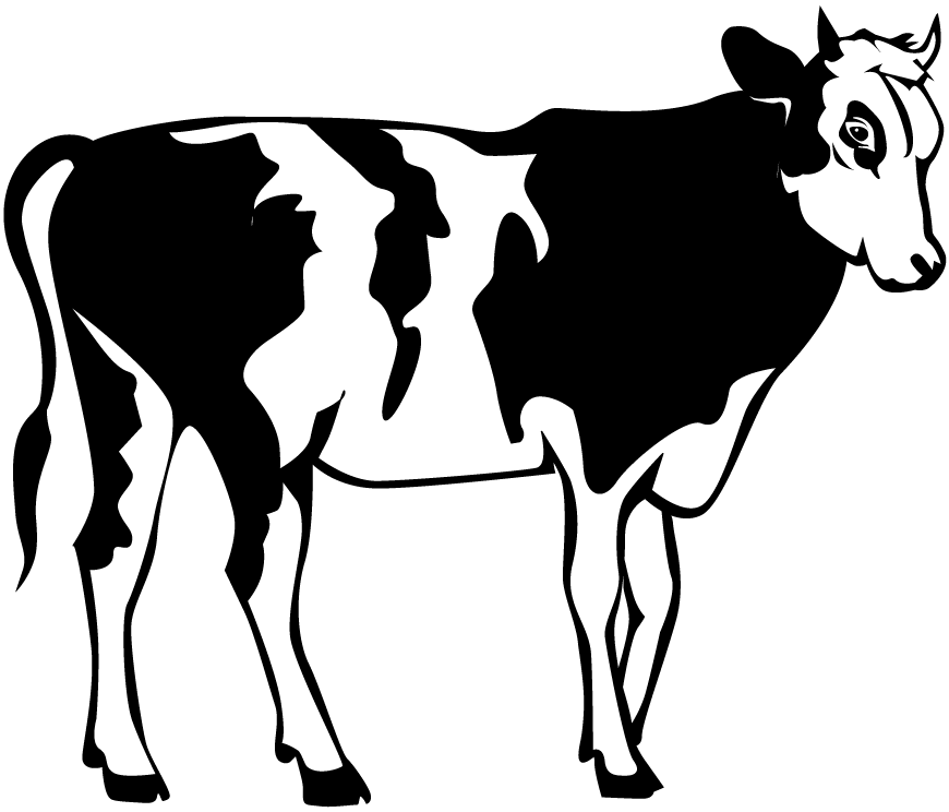 870x744 Cow Clipart Black N White