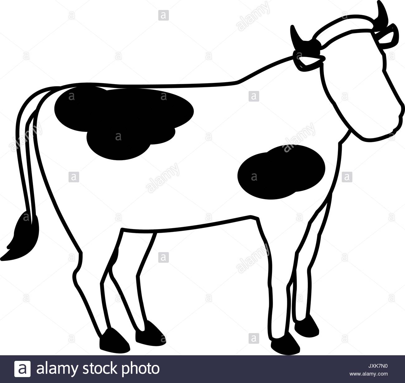 1300x1229 Domestic Cattle Black And White Stock Photos Amp Images