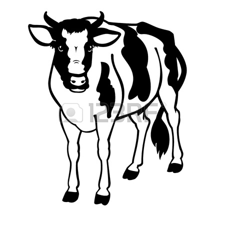 450x450 Standing Cow Black And White Isolated On White Background Royalty
