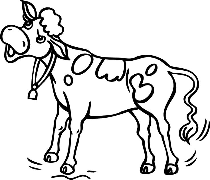 736x632 The Best Cow Clipart Ideas Chicken Adobe Image