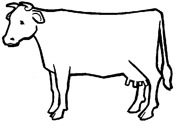 619x441 Cow Template Free Cow Preschool Free Craft Index