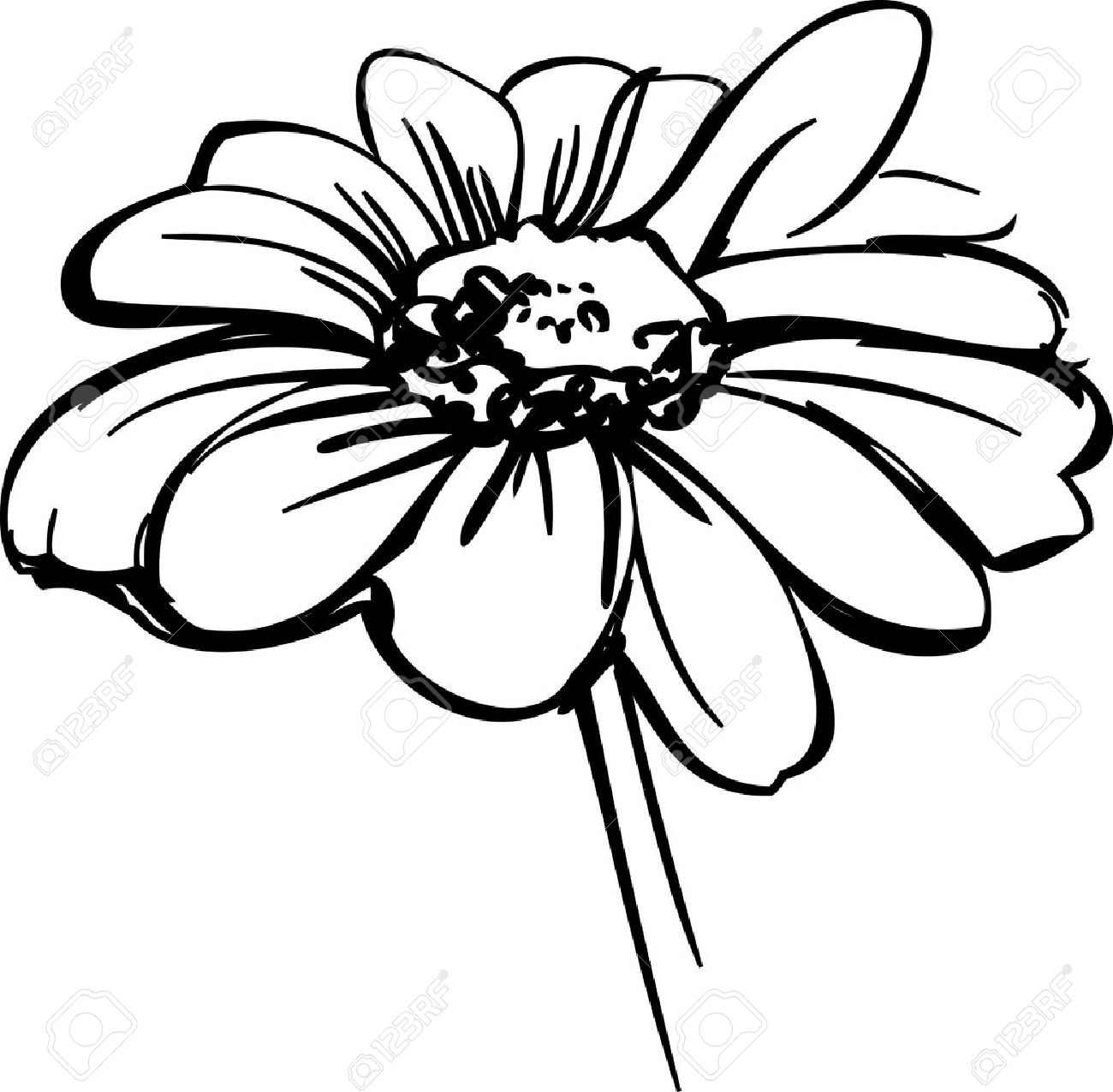 1300x1275 Black And White Daisy Clip Art