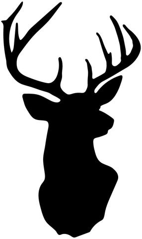 286x480 Metallic Gold Deer Head Trophy Vinyl Wall Decal Wall Dressed Up