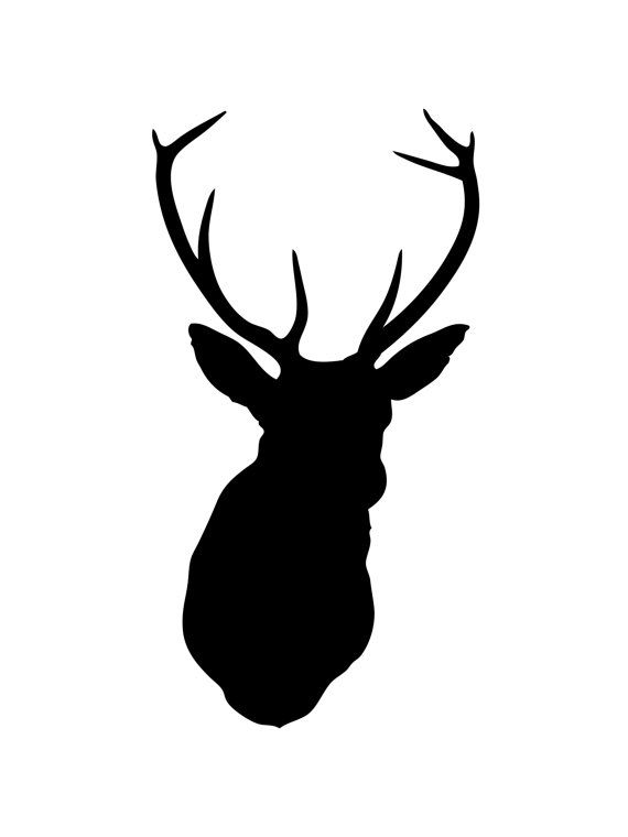 570x760 The Best Black Deer Ideas Animals With Antlers
