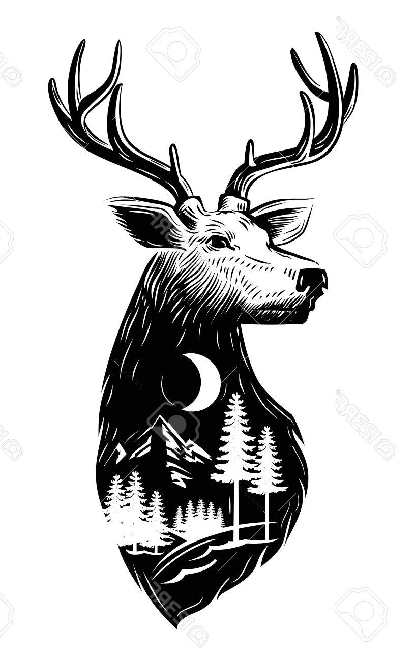 816x1300 Best 15 Vector Black Deer Head Icon On White Background Stock