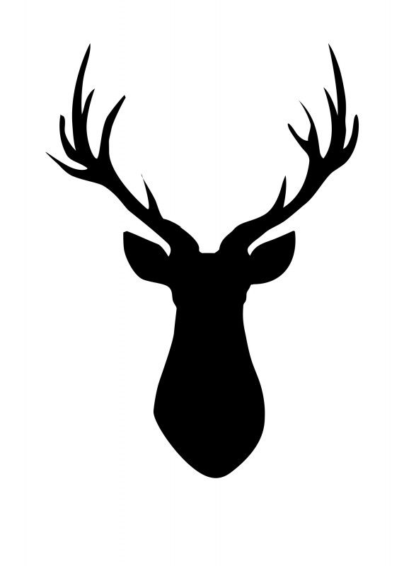 571x800 Best Deer Head Silhouette Ideas Deer Head