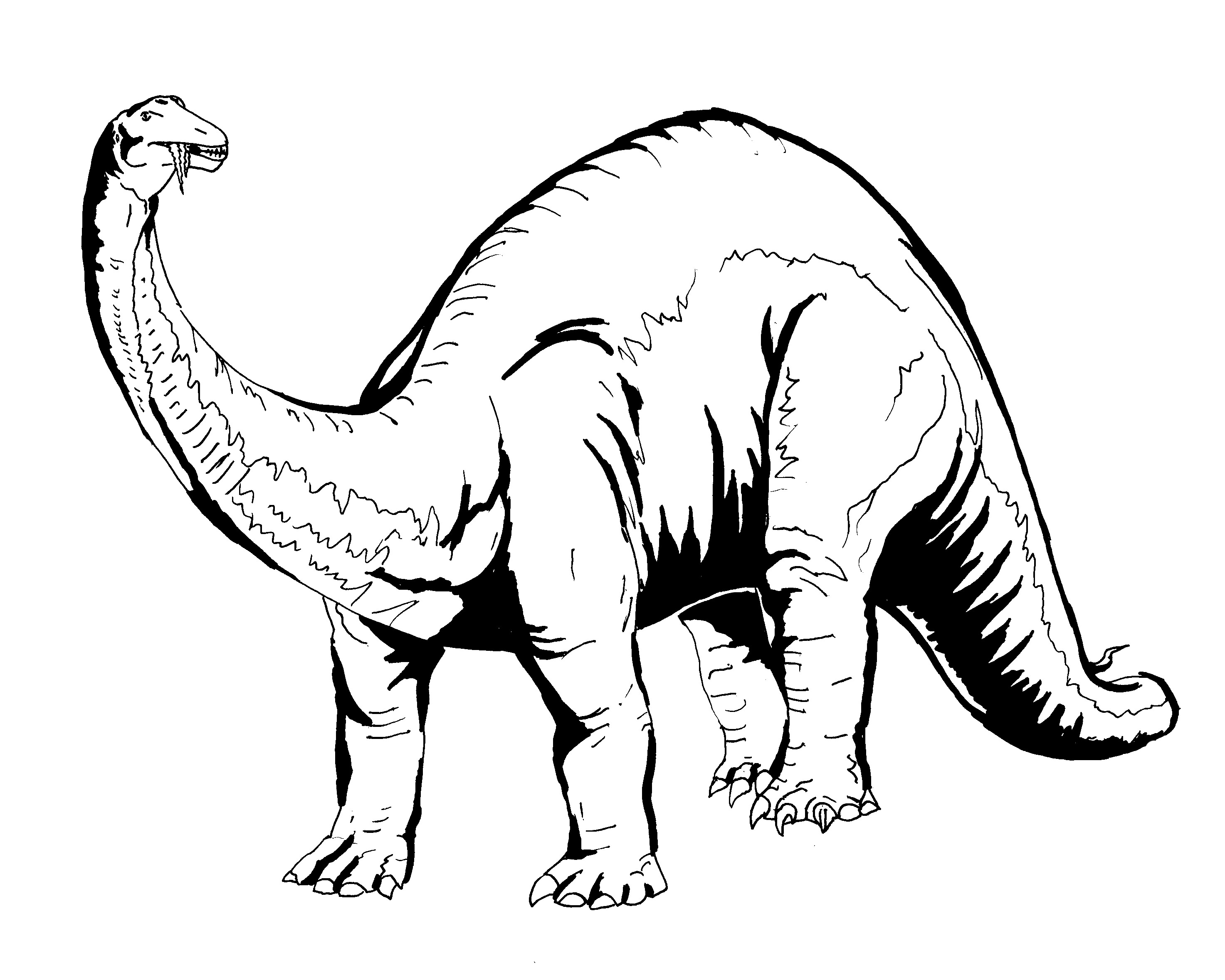 2946x2358 Dinosaur Coloring Pages (8)