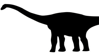 391x220 Black And White Dinosaurs Tumblr