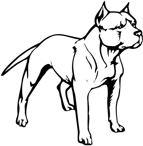 596x608 Pitbull Clipart Black And White