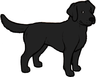 317x255 Dog Coat Colour Genetics